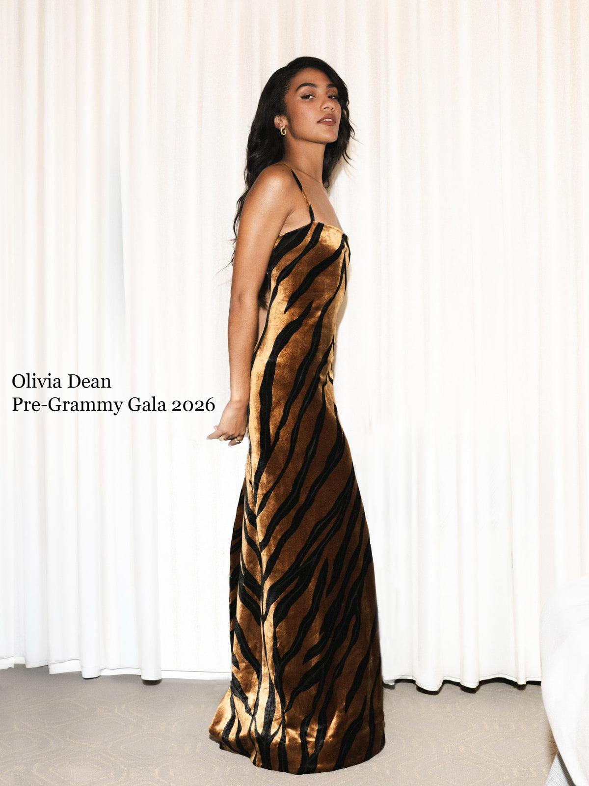 Tiger Dress